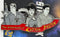 Star Trek Voyager Vegas Show Pin CAPTAIN PROTON Universe of Trek